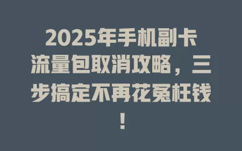 2025年手机副卡流量包取消攻略，三步搞定不再花冤枉钱！