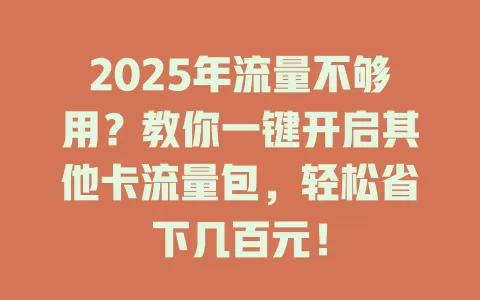 2025年流量不够用？教你一键开启其他卡流量包，轻松省下几百元！