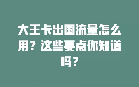 大王卡出国流量怎么用？这些要点你知道吗？