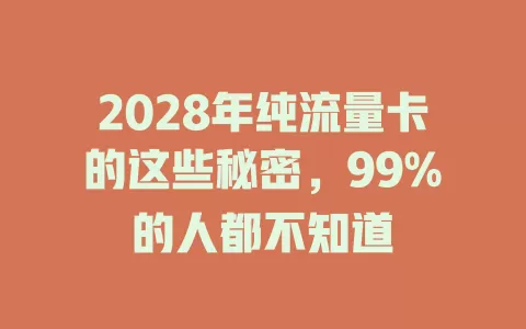 2028年纯流量卡的这些秘密，99%的人都不知道
