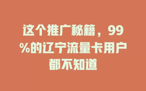 这个推广秘籍，99%的辽宁流量卡用户都不知道