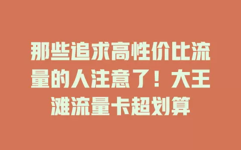 那些追求高性价比流量的人注意了！大王滩流量卡超划算