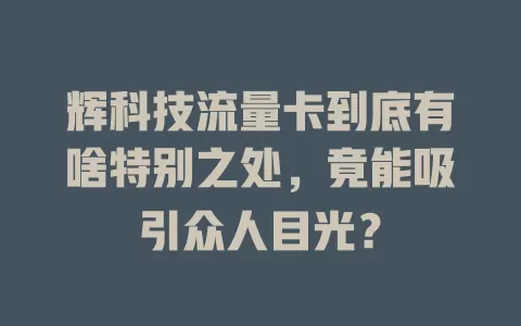 辉科技流量卡到底有啥特别之处，竟能吸引众人目光？