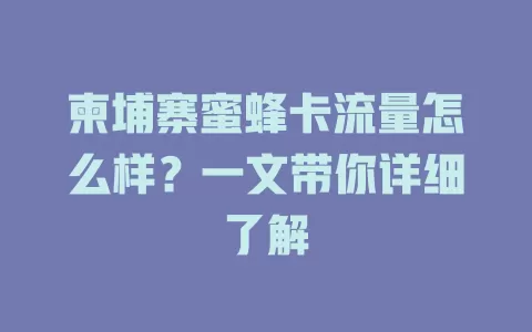 柬埔寨蜜蜂卡流量怎么样？一文带你详细了解