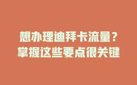 想办理迪拜卡流量？掌握这些要点很关键