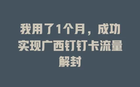我用了1个月，成功实现广西钉钉卡流量解封