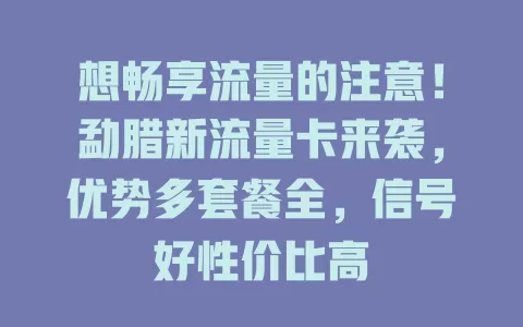 想畅享流量的注意！勐腊新流量卡来袭，优势多套餐全，信号好性价比高