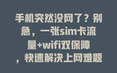 手机突然没网了？别急，一张sim卡流量+wifi双保障，快速解决上网难题！