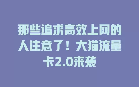 那些追求高效上网的人注意了！大猫流量卡2.0来袭