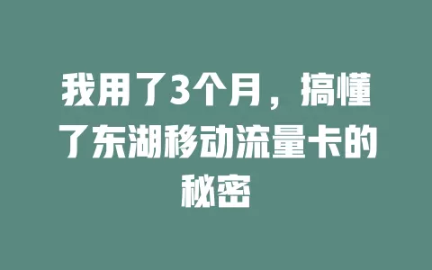 我用了3个月，搞懂了东湖移动流量卡的秘密