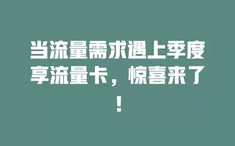 当流量需求遇上季度享流量卡，惊喜来了！