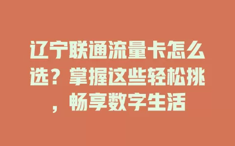 辽宁联通流量卡怎么选？掌握这些轻松挑，畅享数字生活