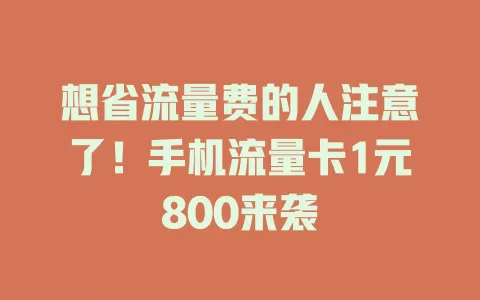 想省流量费的人注意了！手机流量卡1元800来袭