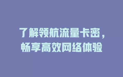 了解领航流量卡密，畅享高效网络体验