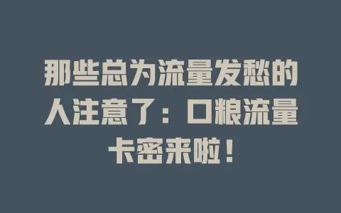 那些总为流量发愁的人注意了：口粮流量卡密来啦！