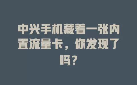 中兴手机藏着一张内置流量卡，你发现了吗？