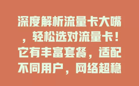 深度解析流量卡大嘴，轻松选对流量卡！它有丰富套餐，适配不同用户，网络超稳。教你按习惯需求选性价比套餐，让网络使用更便捷经济