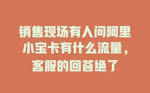 销售现场有人问阿里小宝卡有什么流量，客服的回答绝了