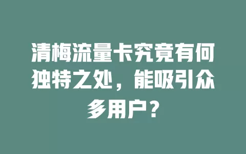 清梅流量卡究竟有何独特之处，能吸引众多用户？