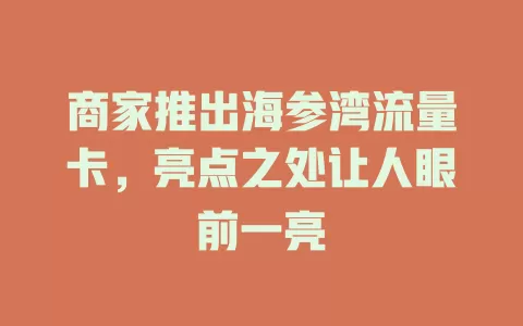 商家推出海参湾流量卡，亮点之处让人眼前一亮