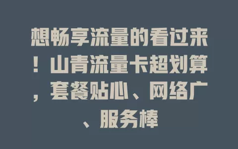 想畅享流量的看过来！山青流量卡超划算，套餐贴心、网络广、服务棒