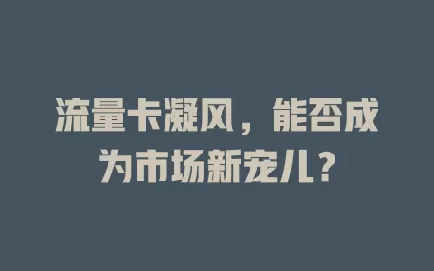 流量卡凝风，能否成为市场新宠儿？