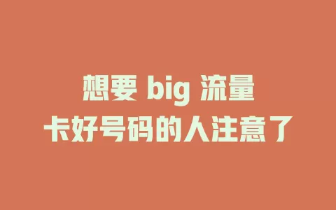 想要 big 流量卡好号码的人注意了