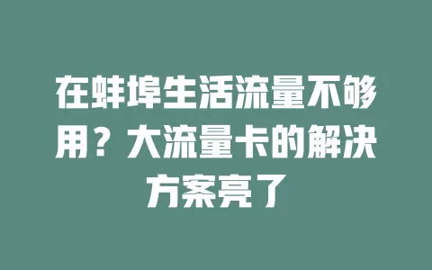 在蚌埠生活流量不够用？大流量卡的解决方案亮了