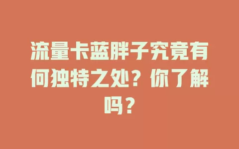 流量卡蓝胖子究竟有何独特之处？你了解吗？