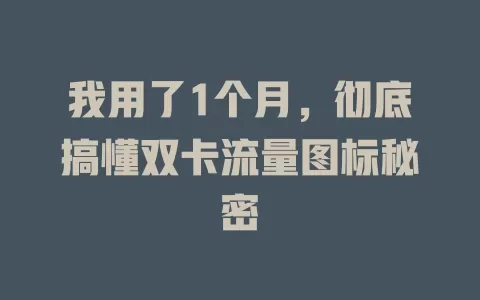 我用了1个月，彻底搞懂双卡流量图标秘密