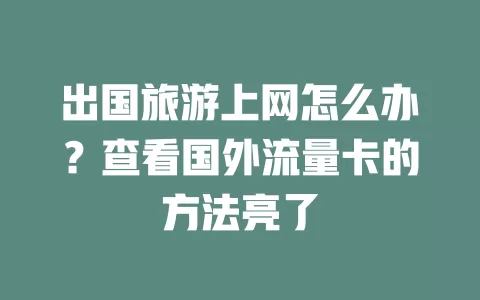 出国旅游上网怎么办？查看国外流量卡的方法亮了