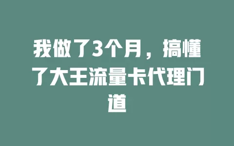 我做了3个月，搞懂了大王流量卡代理门道