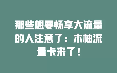 那些想要畅享大流量的人注意了：木柚流量卡来了！