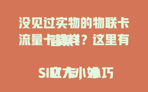 没见过实物的物联卡流量卡啥样？这里有答案！

它大小如 SIM 卡，小巧便携。表面印运营商标志、卡号、ICCID 码。不同运营商卡图片颜色有别，图案有物联网元素，帮您直观了解，畅享数字化便捷