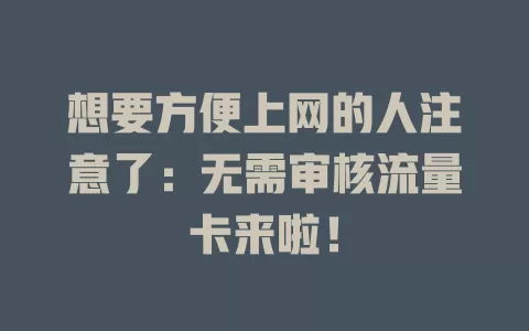 想要方便上网的人注意了：无需审核流量卡来啦！