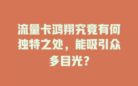 流量卡鸿翔究竟有何独特之处，能吸引众多目光？