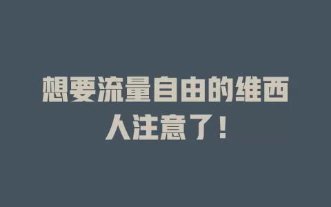 想要流量自由的维西人注意了！