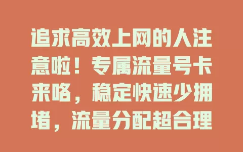 追求高效上网的人注意啦！专属流量号卡来咯，稳定快速少拥堵，流量分配超合理，套餐多样覆盖广，上网卡顿不用愁！