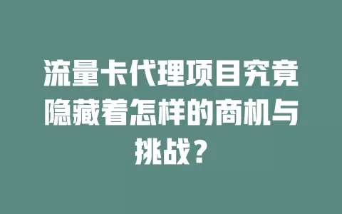 流量卡代理项目究竟隐藏着怎样的商机与挑战？