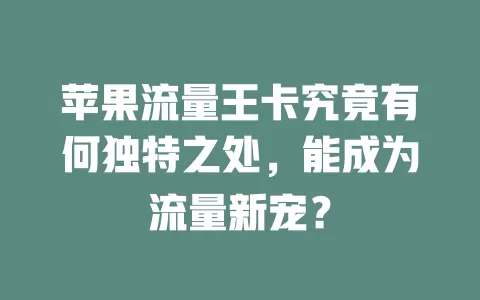 苹果流量王卡究竟有何独特之处，能成为流量新宠？