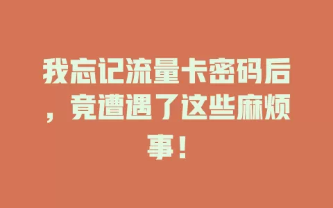 我忘记流量卡密码后，竟遭遇了这些麻烦事！