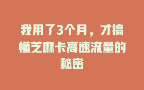 我用了3个月，才搞懂芝麻卡高速流量的秘密