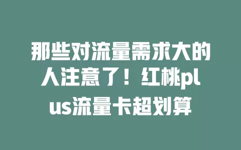 那些对流量需求大的人注意了！红桃plus流量卡超划算