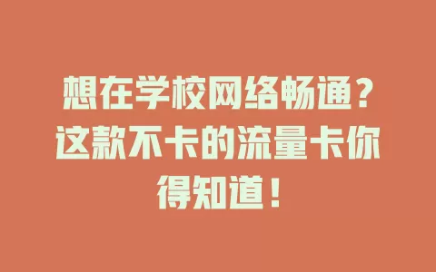 想在学校网络畅通？这款不卡的流量卡你得知道！