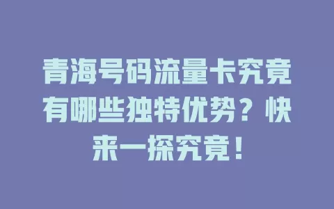 青海号码流量卡究竟有哪些独特优势？快来一探究竟！
