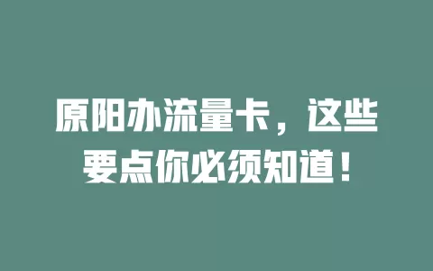 原阳办流量卡，这些要点你必须知道！