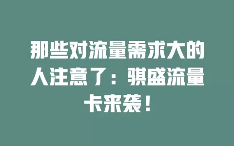 那些对流量需求大的人注意了：骐盛流量卡来袭！