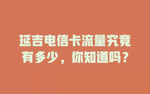延吉电信卡流量究竟有多少，你知道吗？