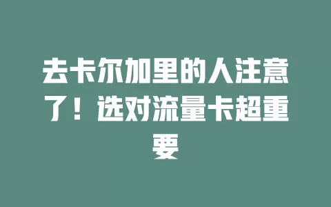 去卡尔加里的人注意了！选对流量卡超重要