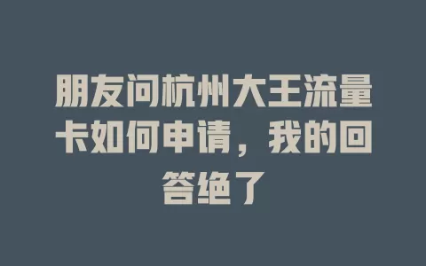 朋友问杭州大王流量卡如何申请，我的回答绝了